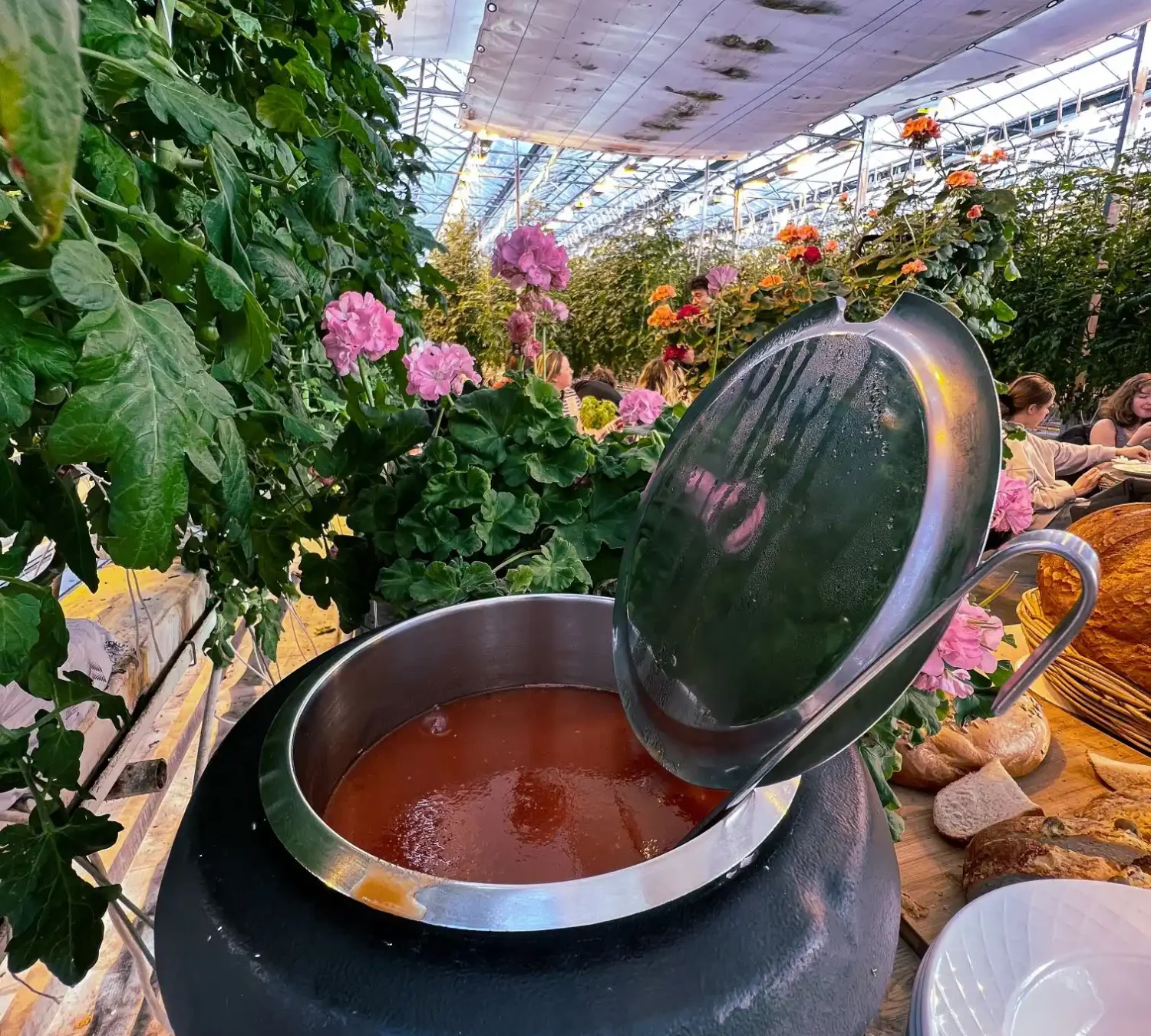 Photo 24.2.2022, 12 10 43