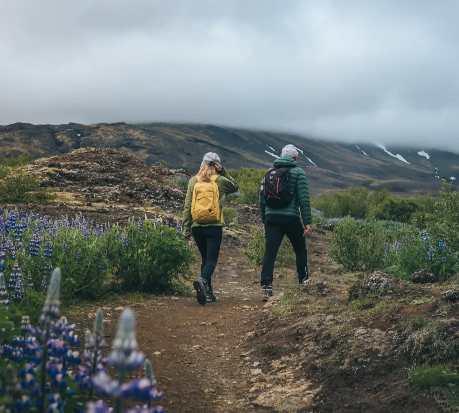 shutterstock_1144187219