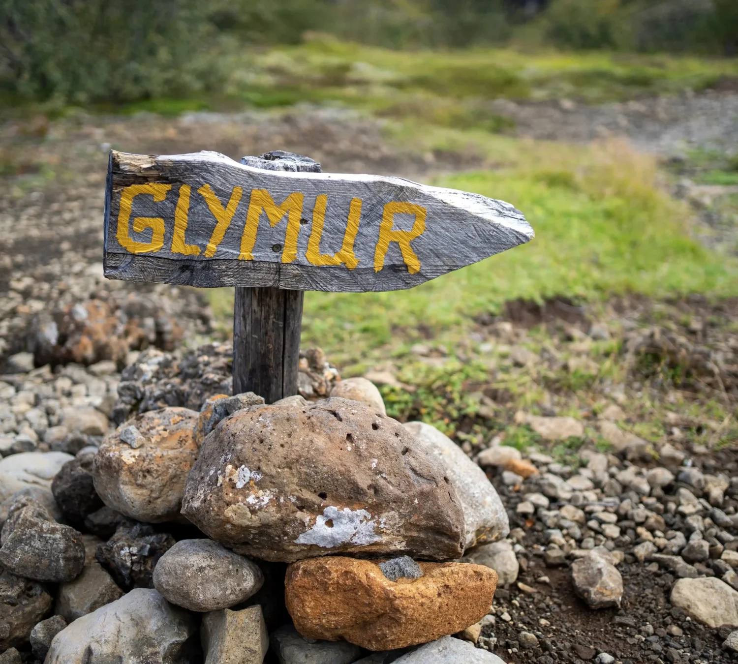 shutterstock_2126831288