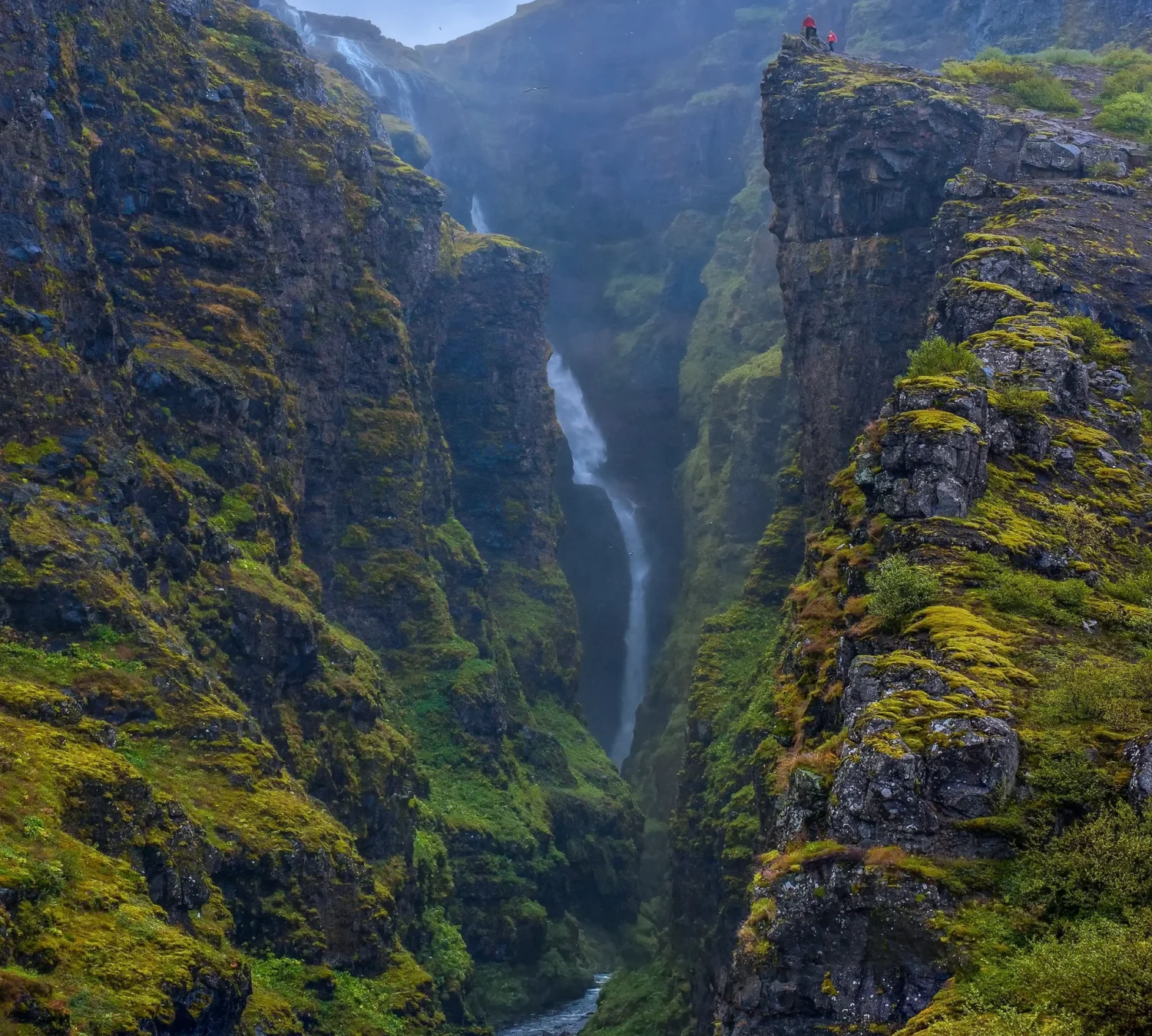 shutterstock_469372463