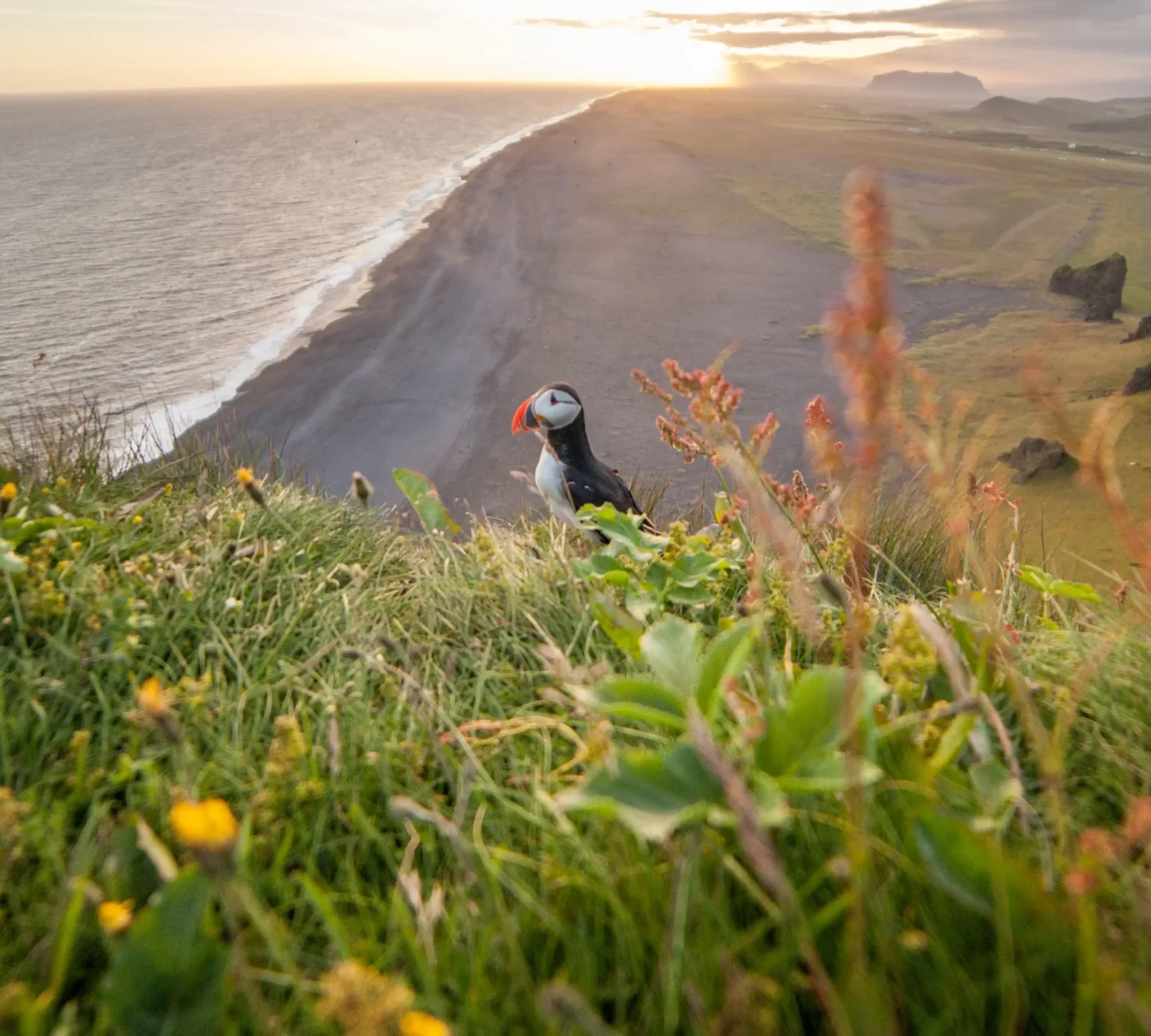 shutterstock_790388446